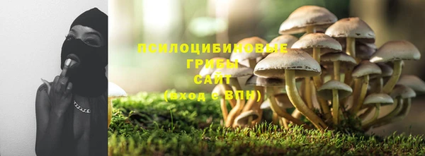 дживик Аркадак