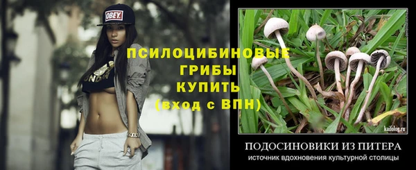 индика Саяногорск